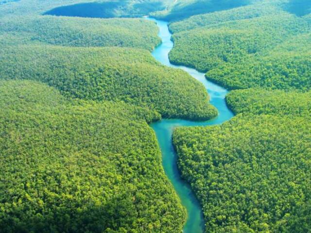 Amazonas