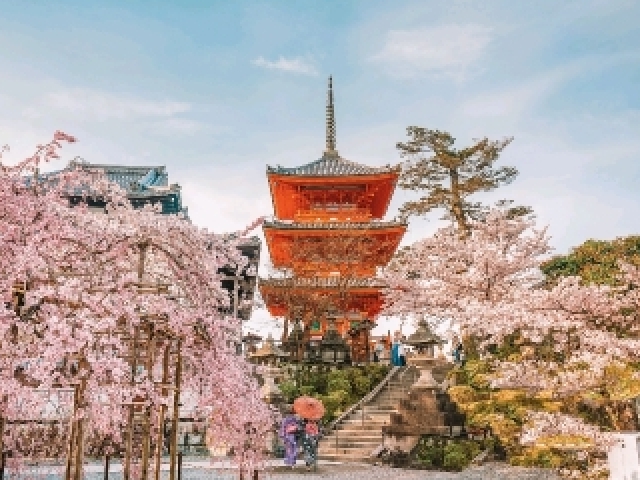 🇯🇵