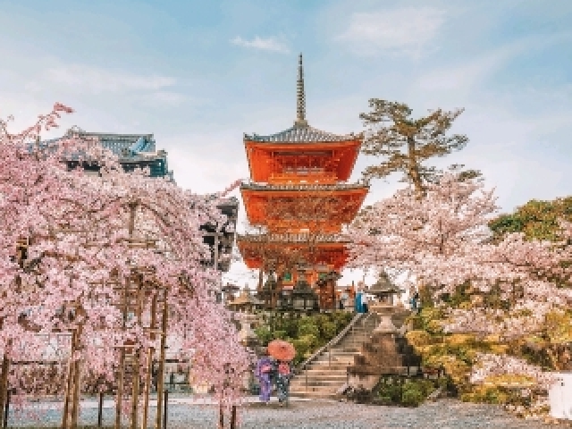 🇯🇵