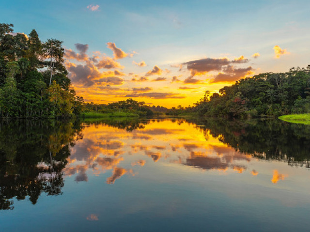 Floresta Amazónica, Brasil