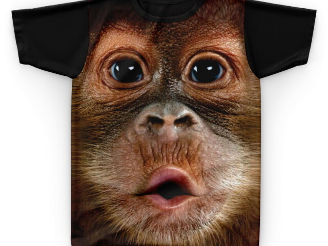 Uma camisa de macaco