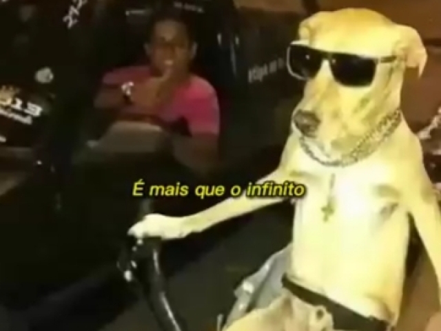 Cachorro caramelo