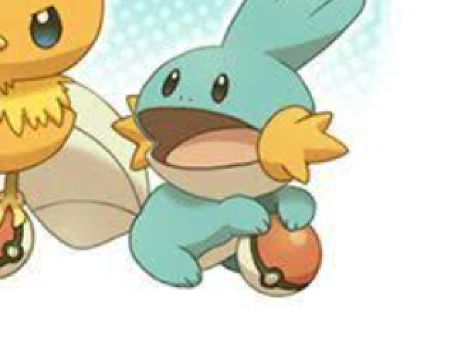 Mudkip