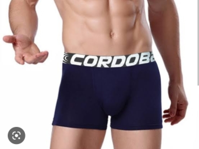 Cueca boxer