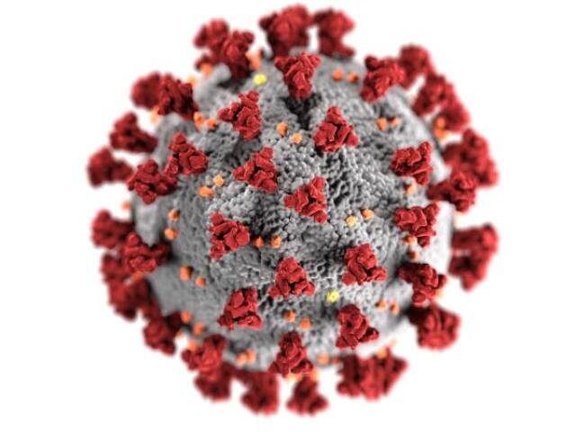 Corna virus