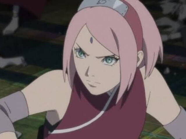 Sakura(the last)