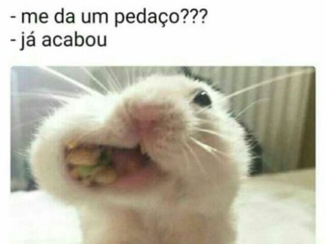 num quero filho