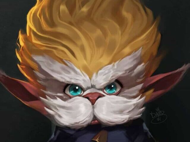 Heimerdinger