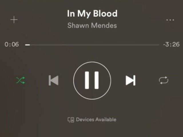 In My Blood