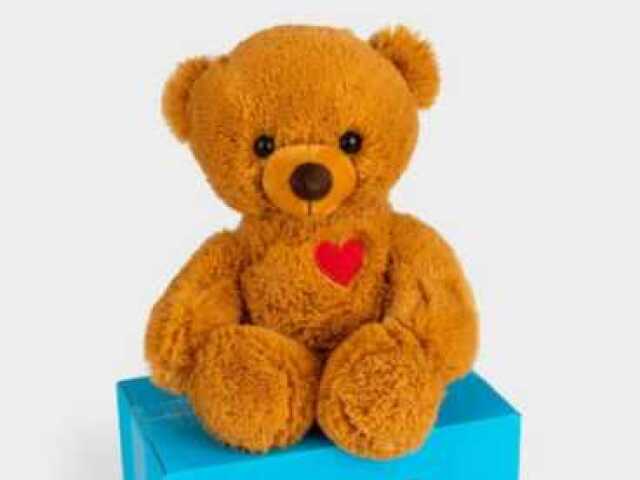 Ted Bear