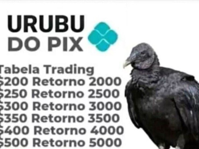 Urubu do pix