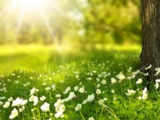Natureza