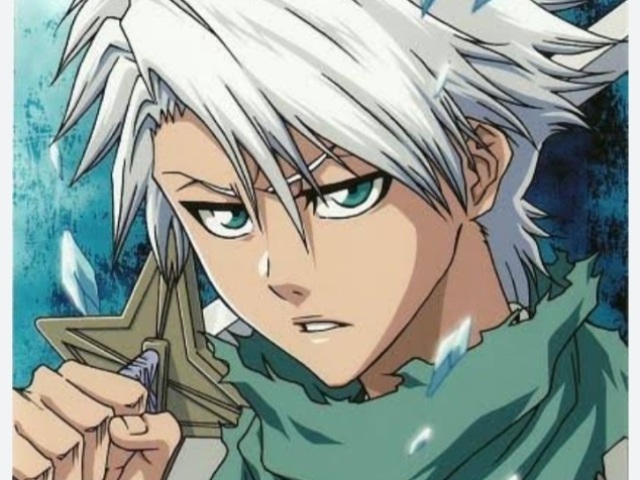 Toshiro Hitsugaya