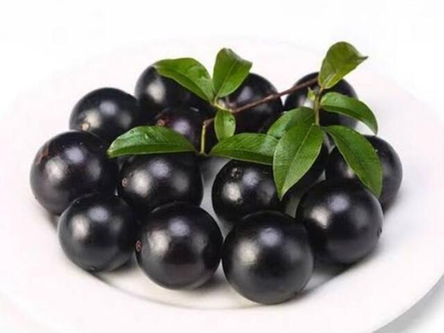 Jabuticaba