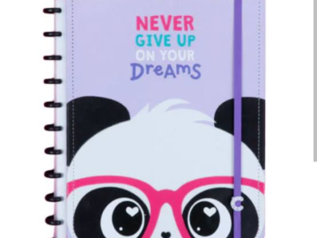 Panda (caderno inteligente)