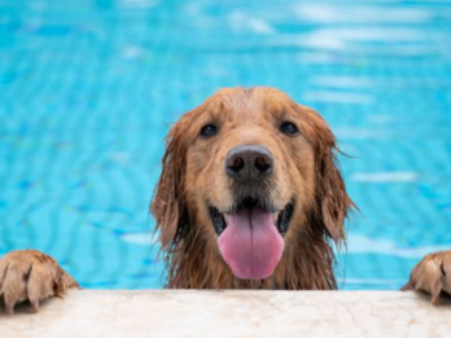 Nadar na piscina