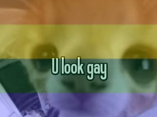 Gay