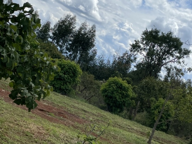 Para o campo, é tão legal se conectar com a natureza🌿!