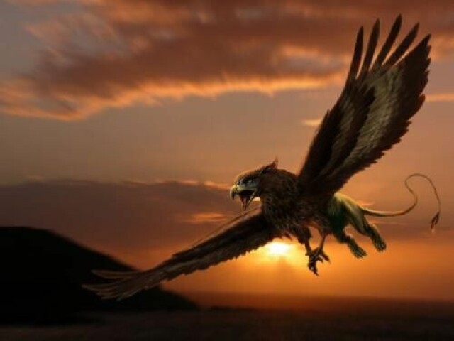 Grifo