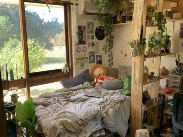 Um quarto bem plantas😌🙌