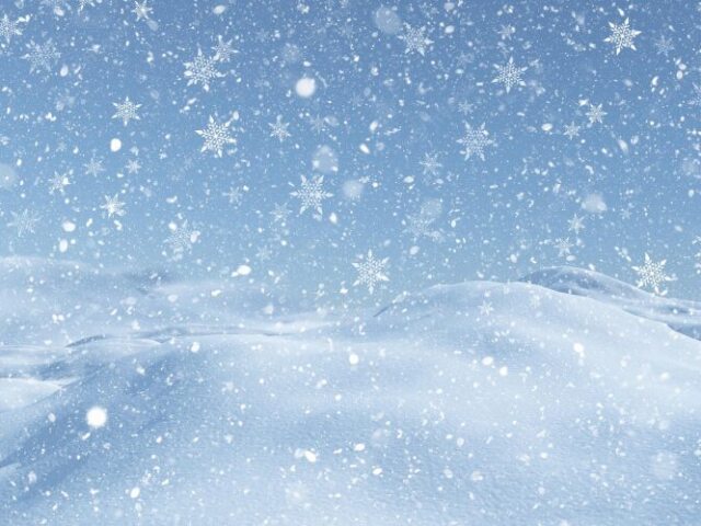 Frio