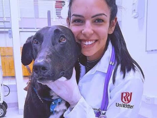 Veterinário, amo cachorro
