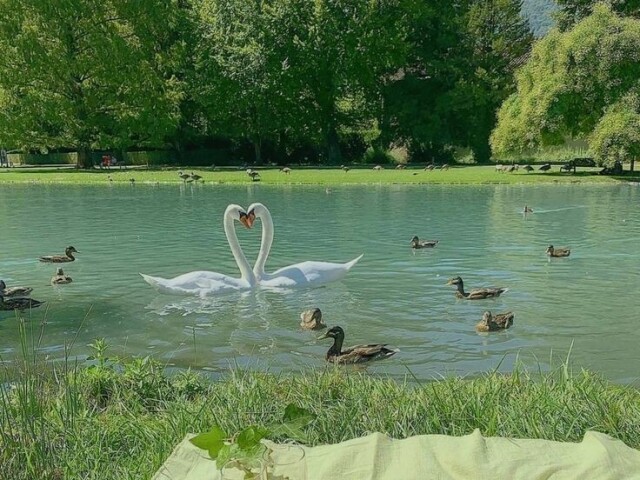 Um picnic ao ar livre com muita comida e bem agradável