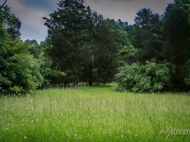 Passeio rural em um campo aberto. Após interagir com espécimes de quatis, vocês desceriam a encosta íngreme para realizar um pique-nique à moda Campinense, e enfim, dormir nas árvores em uma rede.