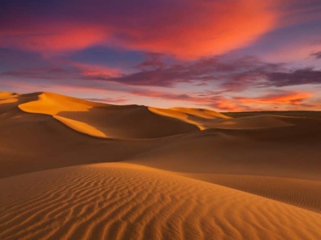 Descobrimento de um deserto próximo da região de sua residência. Vocês levariam equipamentos de exploração, e, obviamente, domariam um camelo de sua preferência para futuramente viver nas pirâmides.