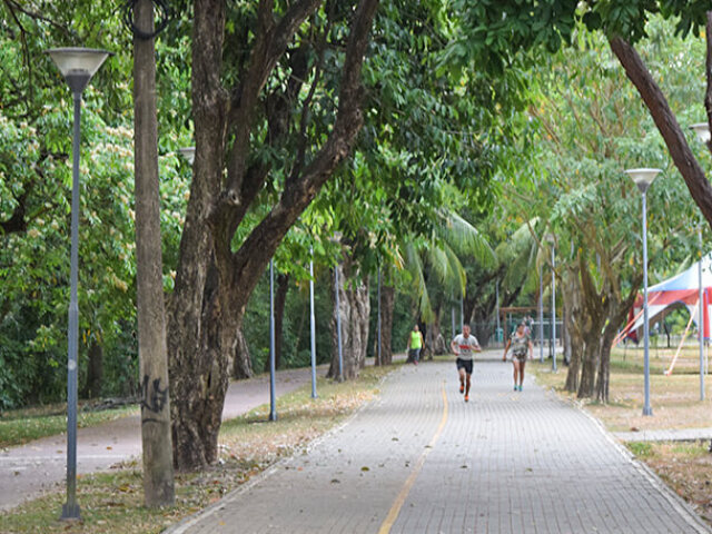 Ir ao Parque com Amigos