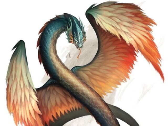 Amphiptere
