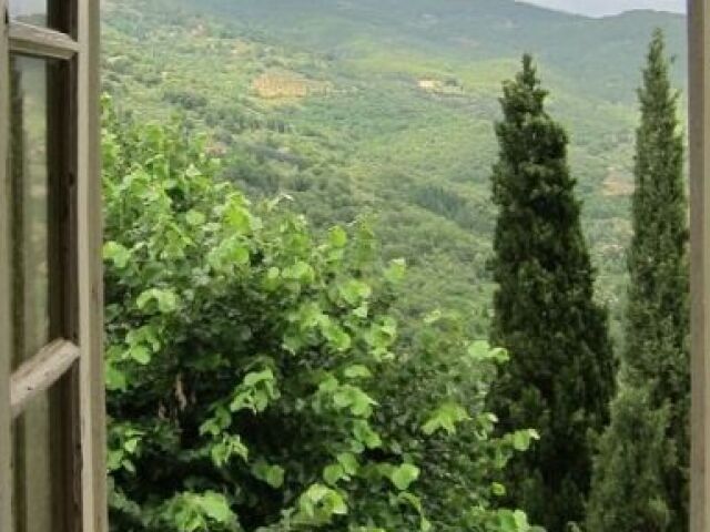 Apenas uma floresta. Árvores belas e suntuosas rodeiam a sua casa. Não é lindo poder ver com a natureza é linda bem da sua janela?