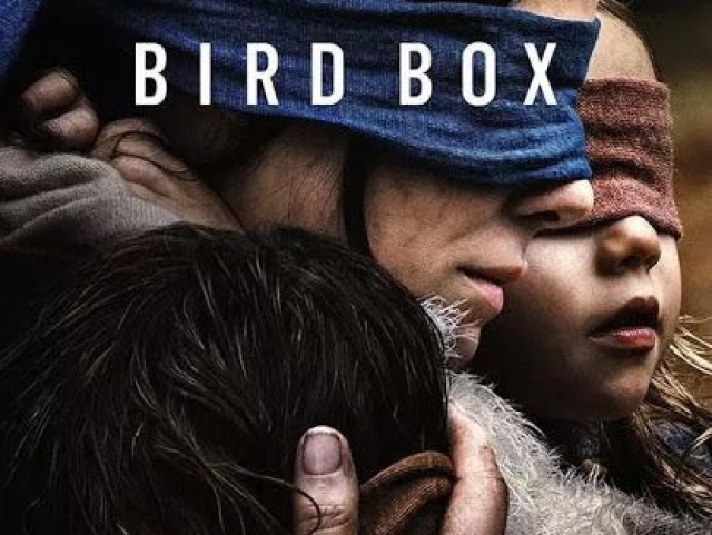 🐥Birdbox 🐥