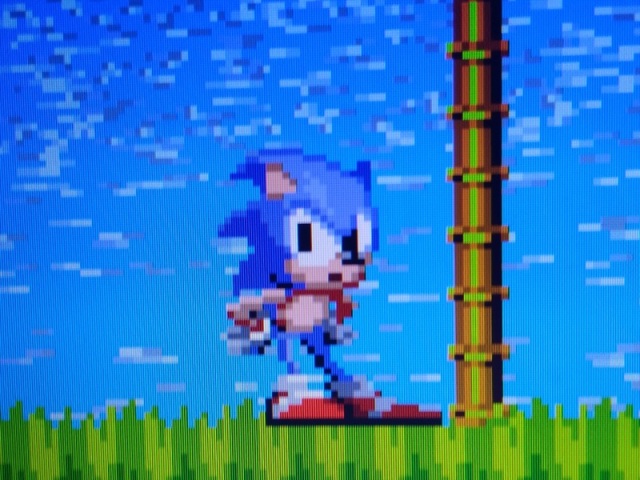 Sonic The Hedgehog