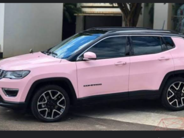 Carro rosa (desculpe pela imagem)