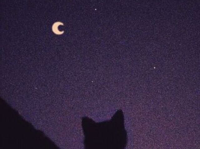 Roxo