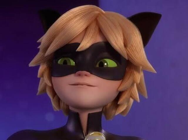 Cat noir