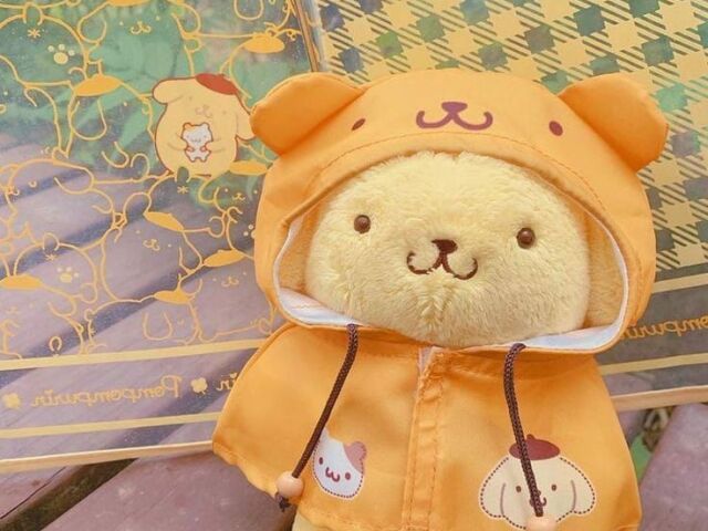 ☆Pompompurin☆