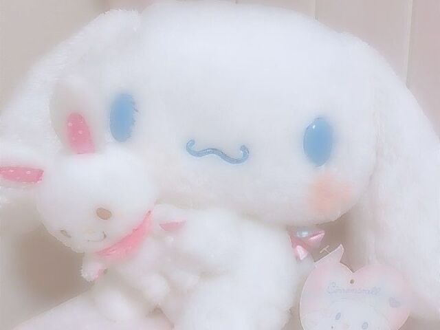 ☆Cinnamoroll☆