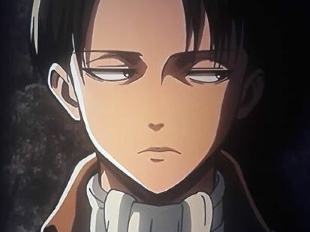 Levi