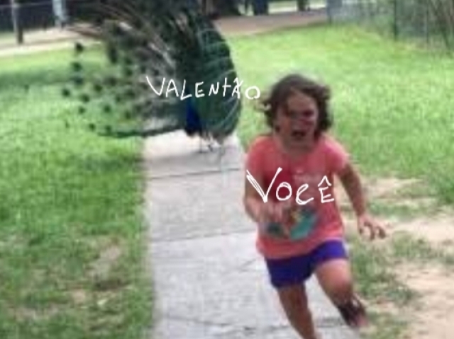 ia gritar e sair correndo