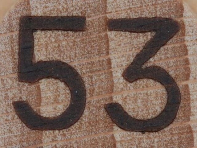 53