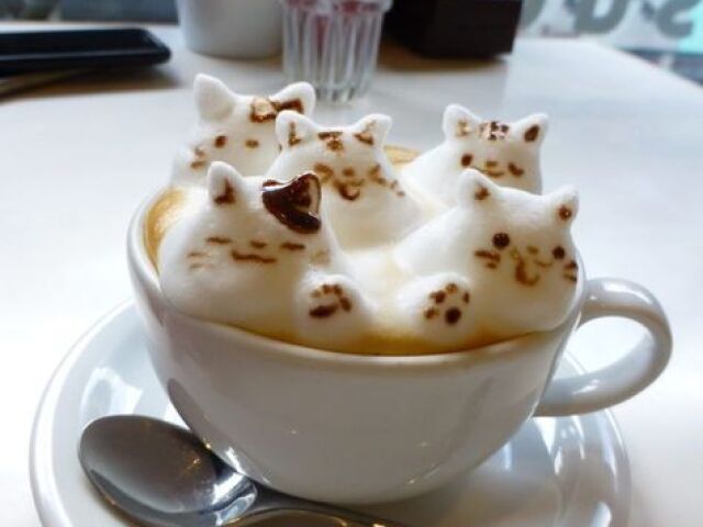 cafézinho de gatinho