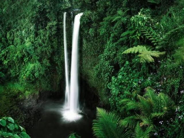 Catarata