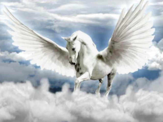 Pegasus