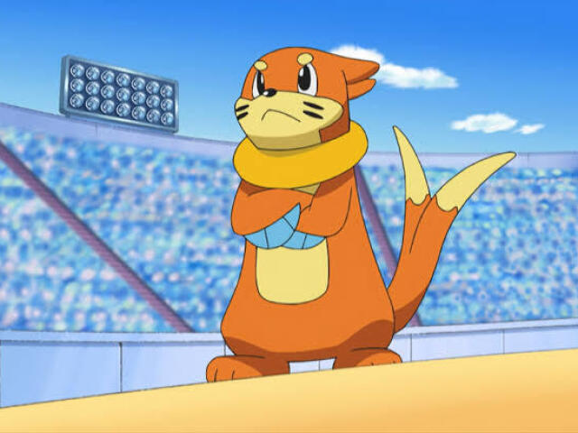 Buizel