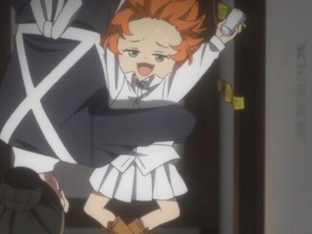 The promised neverland