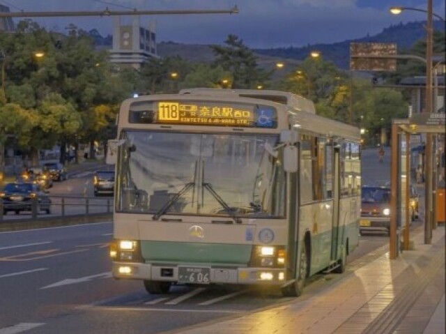 Ônibus