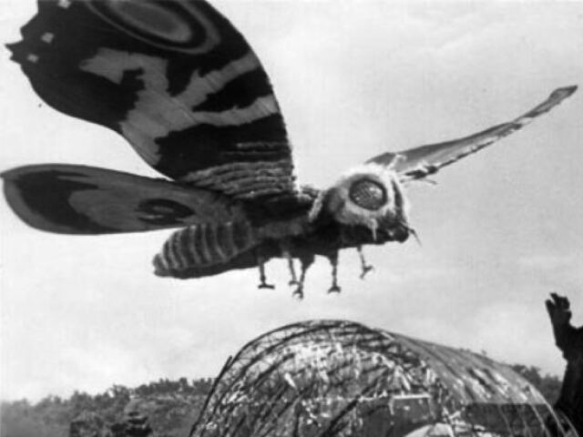 Mothra