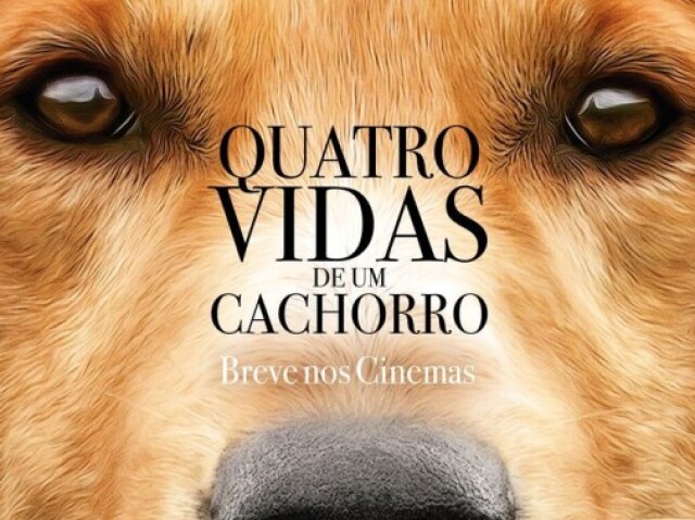 Quatro Vidas de um Cachorro